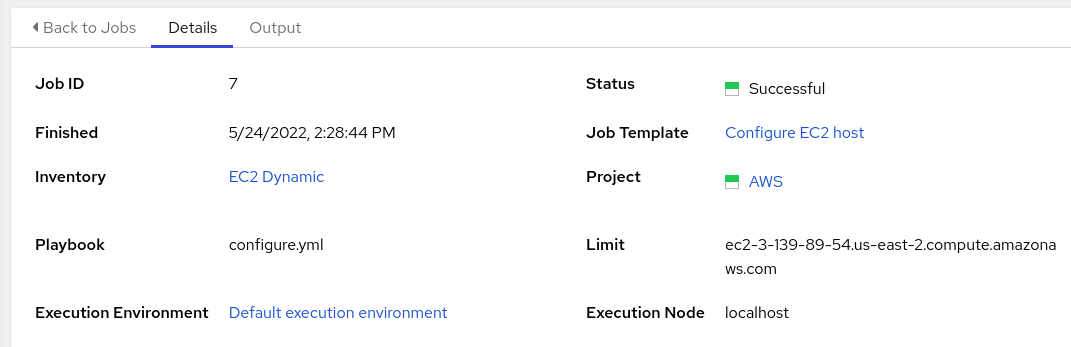 Screenshot of config job detail